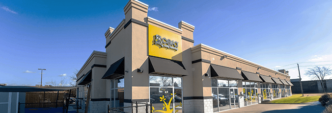 Buying a Franchise vs Building Your Own Business 